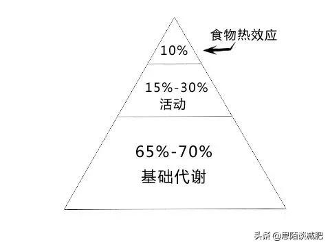 一个月减肥食谱（一个月减肥食谱计划表格）