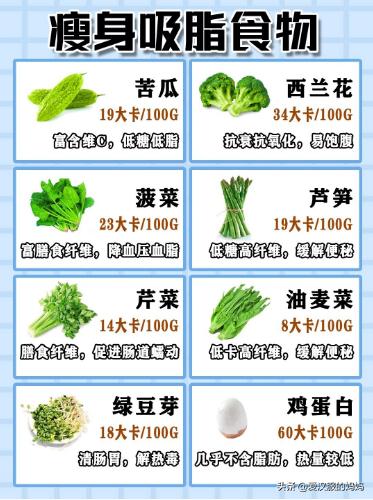 最快最有效减肥方案（最快速最有效减肥法）