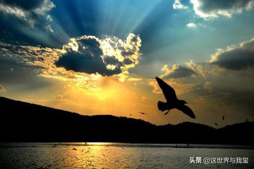 你是太阳我是星星mp3（你是太阳我是星星简谱）