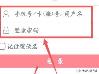 工商银行余额查询网（工商银行 余额查询）