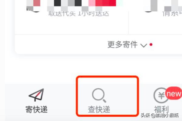 顺丰速递单号查询（顺丰速递单号查询号码查询物流）