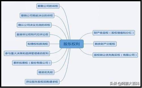 合伙开公司股权怎么分配比较好