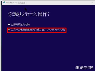 windows10msdn下载（lⅰmbo windows 10下载）